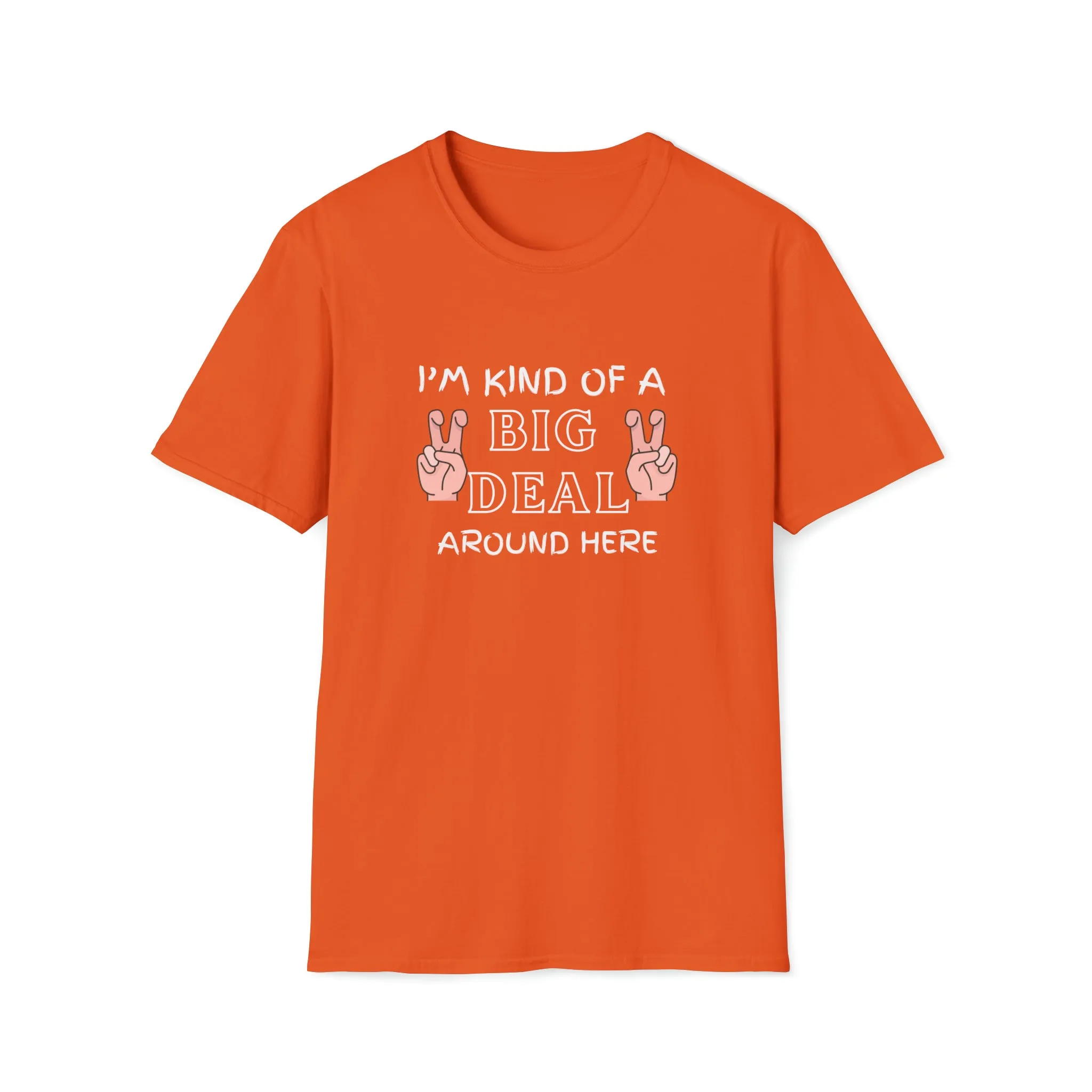 I'm Kind Of A Big Deal Around Here Tshirt, Sarcastic T Shirt, Funny Slogan T-Shirt, Funny Quote Tee, College Party T-Shirt, Dad Tshirt