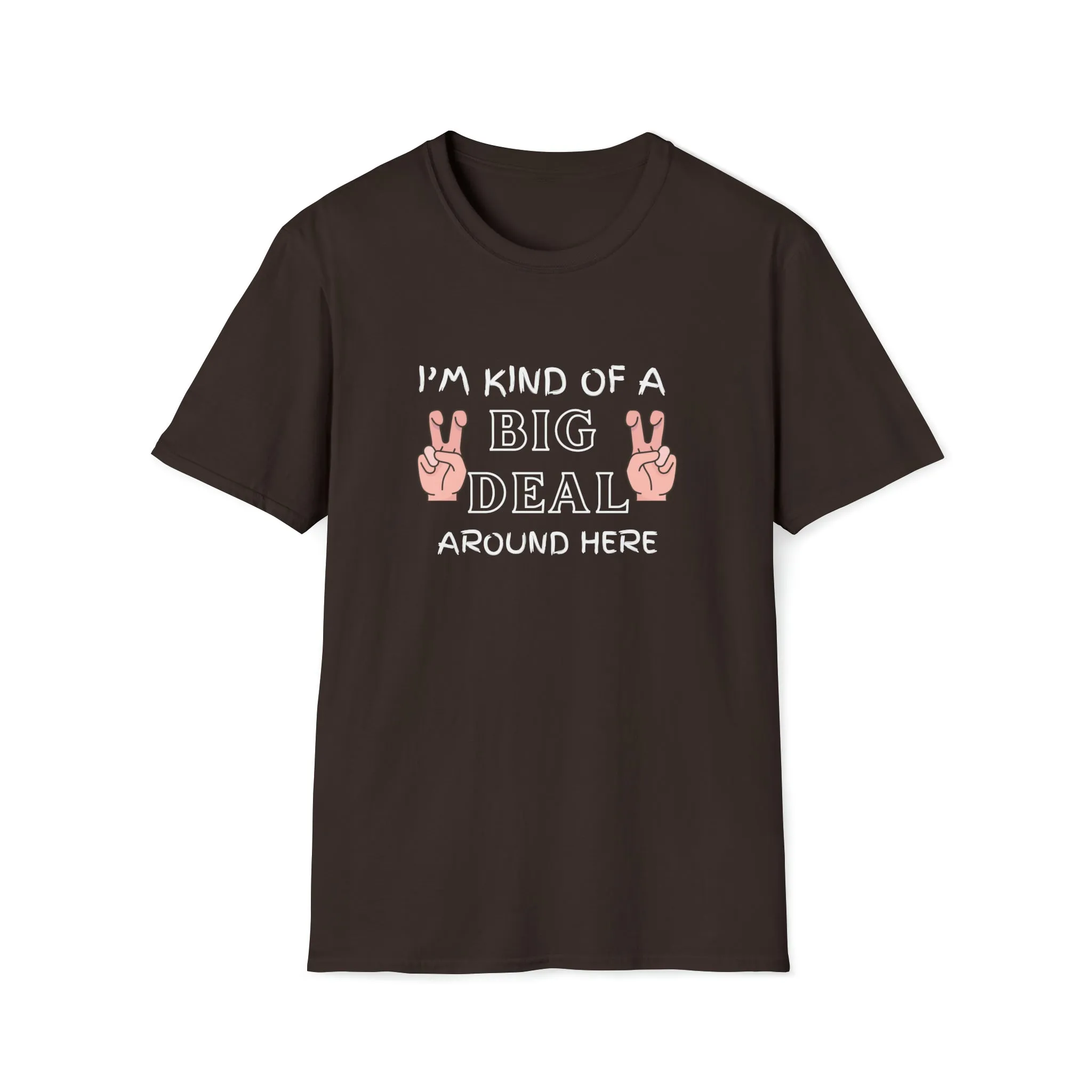 I'm Kind Of A Big Deal Around Here Tshirt, Sarcastic T Shirt, Funny Slogan T-Shirt, Funny Quote Tee, College Party T-Shirt, Dad Tshirt